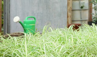 含氨基酸水溶肥料微量元素型标准（微量元素水溶性肥料标准）