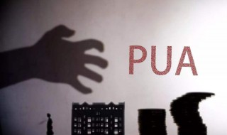 pua是什么意思（pua是什么意思梗）