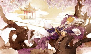 三生三世枕上书凤九兵藏之礼第几集（三生三世枕上书第几集凤九大婚）