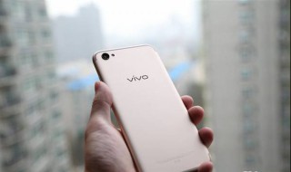 vivo相机发生错误怎么办 vivo手机相机故障怎么解决