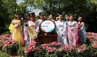 花朝节习俗 花朝节风俗