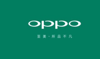 为什么OPPO手机刷完机回不到主页（为什么oppo手机刷完机回不到主页了）