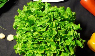 生菜是寒性食物吗 生菜是寒性食物吗怀孕期间吃鹅蛋