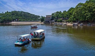 成都免费景点排名前十（成都免费景点排名前十有哪些）