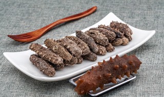 吃海参的禁忌食物 海参宜忌食物