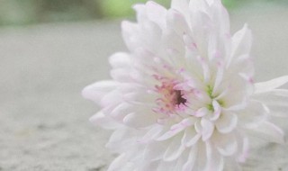 搞笑句子说说心情 无聊的搞笑句子说说心情