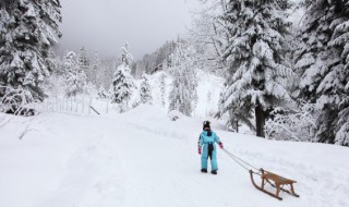 下雪文案短句干净治愈 下雪文案短句干净治愈调皮