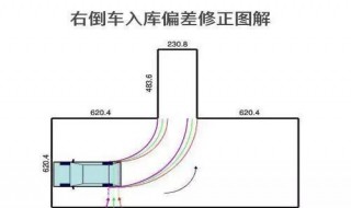 倒车入库宽度不一样是什么原因（倒车入库左右宽度不一样）