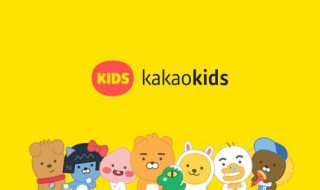 kakao输入手机号无法连接服务器 kakao显示无法连接服务器