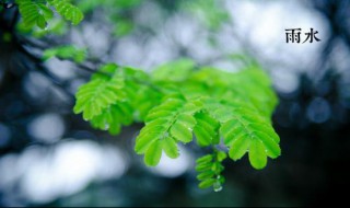 24节日雨水是什么意思（雨水是24节气吗）