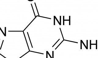 碱基被替换氨基酸序列没改变的原因 碱基被替换氨基酸序列没改变的原因是