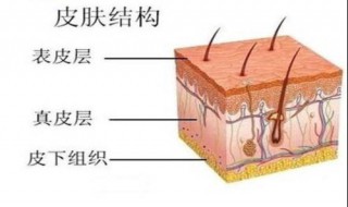 皮肤角质层薄如何护理 皮肤角质层薄怎么护理