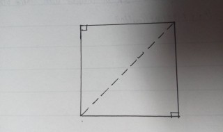 正方形对角线计算公式（正方形对角线计算公式是小学几年级学的）