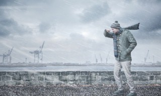 谚语雨后生东风下一句是什么意思（东风有雨什么意思）