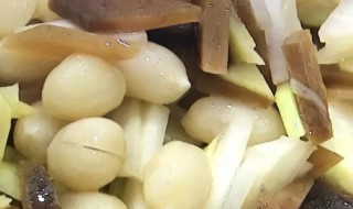东北碎咸菜的腌制方法（东北碎咸菜的腌制方法视频）