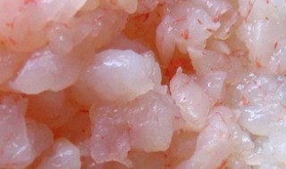 虾仁饺子馅的配料及做法 虾仁饺子馅的配料及做法视频
