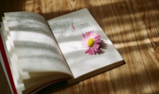 意境唯美的段落摘抄 意境唯美的段落摘抄带出处