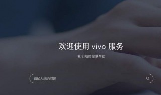 vivo主题怎么没有搜索 vivo手机主题为什么没有搜索