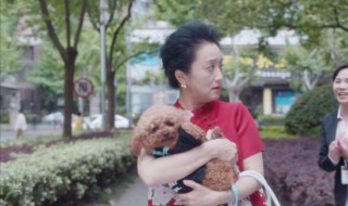 安家电视剧苗阿姨扮演者 饰演安家电视剧演员表