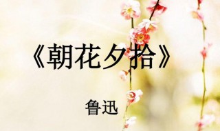 关于朝花夕拾的手抄报（关于朝花夕拾的手抄报 初一）