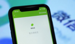 微信怎么关闭免密支付功能 华为微信怎么关闭免密支付功能