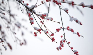 下雪时开车注意事项（下雪时开车注意事项开防滑）