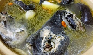 田七乌鸡汤的做法（田七公鸡汤的做法）