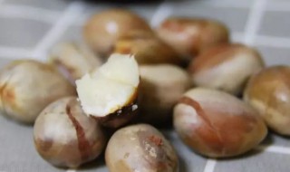 菠萝蜜核能吃不能吃（菠萝蜜核能吃不能吃多）