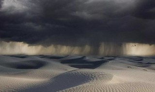 沙漠雨效应是什么意思（沙漠雨是什么现象）