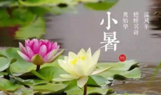 小暑喝什么养生汤（小暑喝什么汤好）