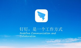 老师的钉钉可以看到什么（老师的钉钉可以看到什么信息）