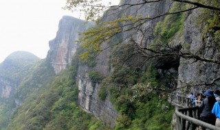 金佛山门票 金佛山门票优惠政策