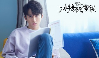 冰糖炖雪梨演的是什么 冰糖炖雪梨是什么剧