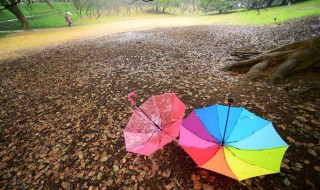 降雨是冷空气还是暖空气（冷空气遇到什么会形成降雨）