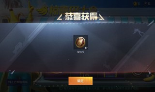 和平精英的服饰币是什么（和平精英的服饰币是什么东西）