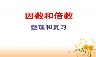 4,47,57其中哪个数有两个因数? 54有几个因数,分别是多少