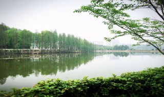 长沙雨花区旅游景点（长沙雨花区旅游攻略景点必去）