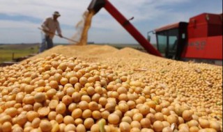 世界粮食出口国有几个 最大粮食出口国是哪个国家