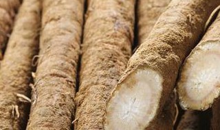 如何选牛蒡根（牛蒡根还是牛蒡根）
