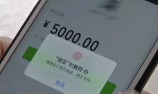 手机转账转错了怎么退回来啊 转账成功后发现转错了怎么办
