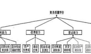 资产结构分析的结构和层次. 资产结构的类型及特点