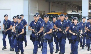 机场特警每周更新几集 机场特警一共多少集