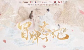 冒牌太子妃男主角 冒牌太子妃小说中男主是谁