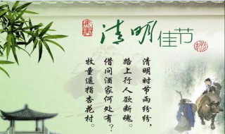 清明节最大的禁忌（清明节最大禁忌是什么）