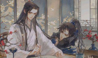 《二哈和他的白猫师尊》虐心吗（二哈和他的白猫师尊 虐吗）