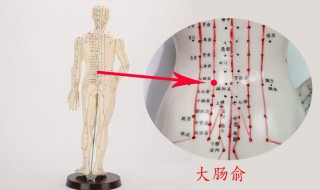 骶管裂孔的定位（骶管裂孔的定位图）