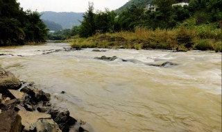 浑水变清水需要什么东西 浑水变清水需要什么东西呢