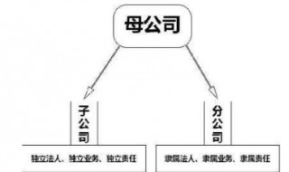 总公司与分公司的关系是什么 总公司和分公司的关系怎么界定