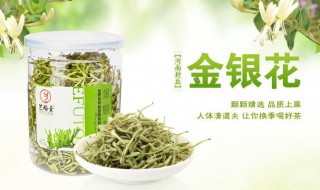 金银花的营养成分表 金银花的营养成分表图片