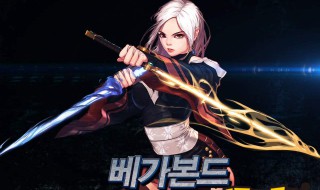 dnf流浪武士穿什么甲 dnf流浪武士带什么套装